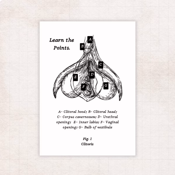 Learn the Parts