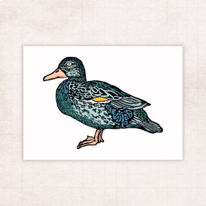 A block print of a powerful female duck with a corkscrew vagina