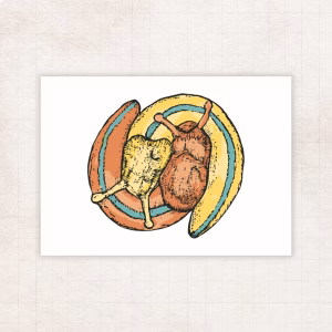 A colorful block print of two banana slugs wound together