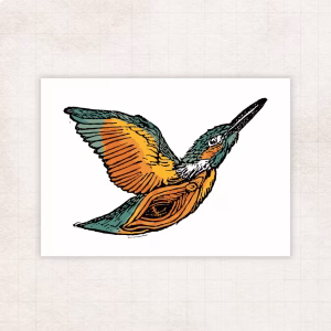 Queenfisher print