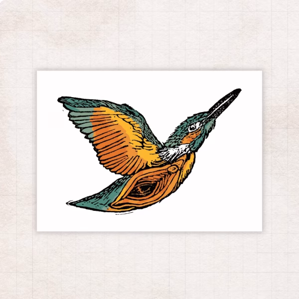 Queenfisher print